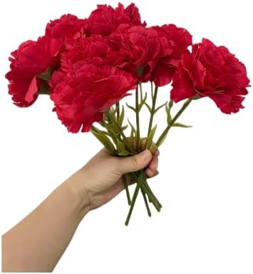 11 Inch Bouquets 10 Stem Carnations,Outdoor UV Resistant No Fade Artificial Flower,Mini Carnation Silk Petals Fake Flowers Forever Plants for Photo Props Home Party and Wedding Decor (Red-10)