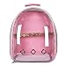 Parrot Backpack with Wooden Perch Standing Bird Carrier Cage, Carrier Shoulders Bag for Pet Birds Magpies Outing Travel (Pink)