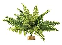 Exo Terra Boston Farn, künstliche naturgetreue Pflanze für Terrarien, ideal für Regenwaldterrarien, mittel