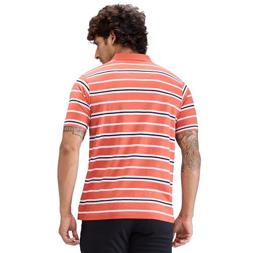 Image of Colorplus Men's Classic Fit Stripe Pattern Pure Cotton Half Sleeve Polo Neck Casual T-Shirt