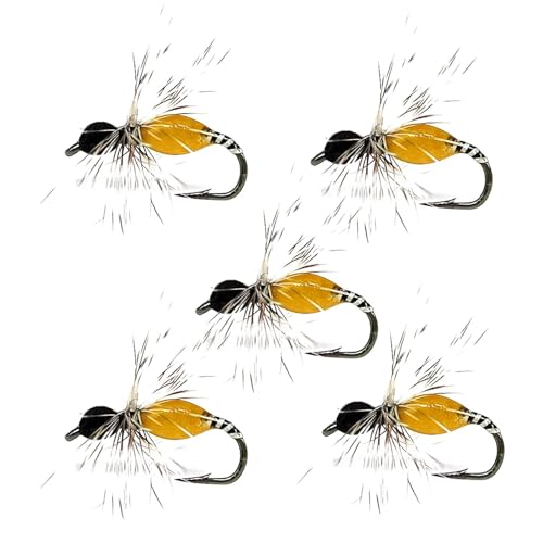 gEgphCtCAhCtCt[^g | 邢F̎DhCtCAgN^[t[^g 5  | gEgAoX u[Mp̕ی{bNXt@\FtC tBbVOpi