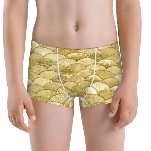 Boys' Cotton Boxer Brief Soft Underwear-Mermaid Fish Scale