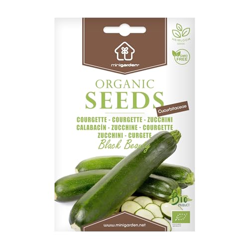 Courgette Black Beauty, Graines certifiées biologiques prêt à Pousser Minigarden, 100% Naturelles sans Propagateurs Chimiques ni Génie Génétique, inclut entre 6 et 8 graines