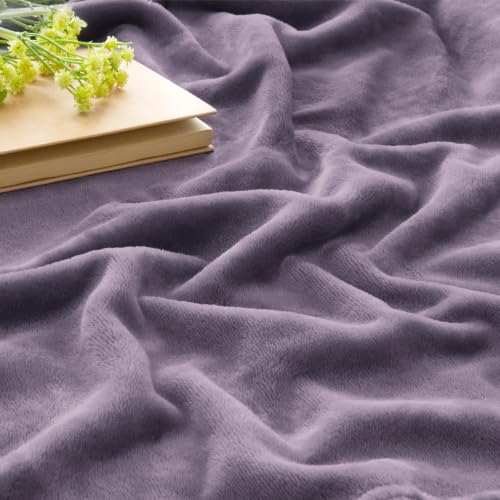 Image of BEDELITE Fleece Blanket Soft Plush Throw for Couch Dusty Purple 50 inchx60 inch
