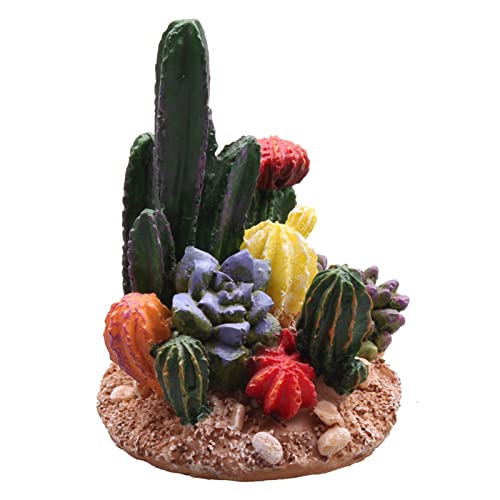 Kocris Casa Succulents Cactus