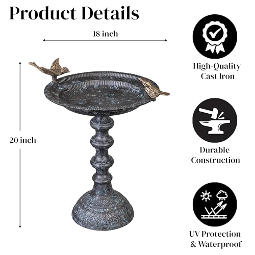 Mangeoire pour jardin et bain d'oiseaux robuste contre intempéries - 4