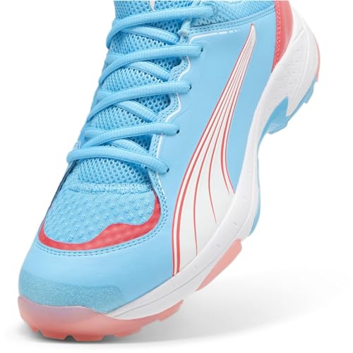 Image of Puma Unisex-Adult Spike 24.1 Cricket Shoe