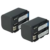 vhbw 2x batteria compatibile con Canon MV30i, MV500, MV400, MV300i, MV450i