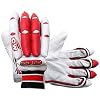 CW Storm Junior Cricket Set with Bag Training Sports Cricket Bag Protective Gears Full Set Unisex Children Mini Size 5 for 10 to 11 Years Old Age Boys & Girls Complete Set with Durable Bat