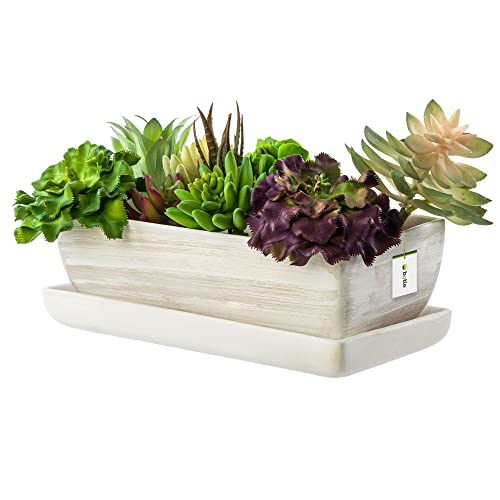 botle Keramik Blumentopf Blumenschale Kakteenschale Untersetzer...