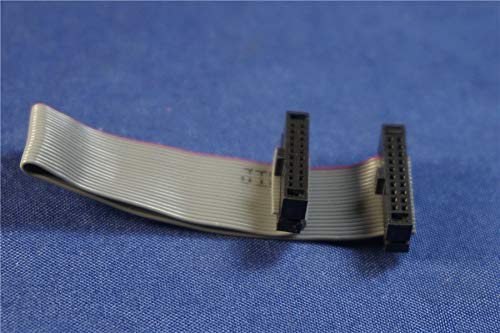 Gimax 100pcs 20 Pin 1.27 mm Pitch IDC Socket Extension Flat Ribbon Cable 80 100 120 150 200 250 300 mm ISP JTAG DAP AVR IDC - (Color: Length 200mm)