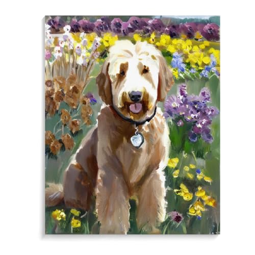 Paint by Number Kits Goldendoodle Dog Paint by Numbers,DIY Oil Painting Acrylic Paints for Wall Art 16x20inch(40x50cm) Frameless