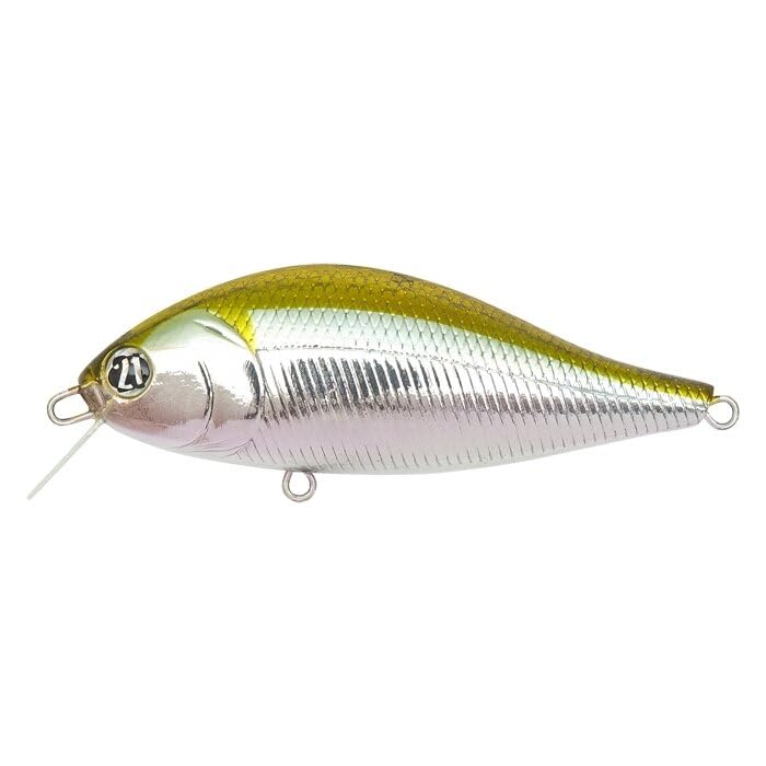 Pontoon 21 Bet A Shad 63SP-SR 012