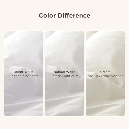 Bedsure 100% Washed Cotton Duvet Cover Twin Size - Cream Minimalist Cotton Duvet Cover Linen Like for All Seasons - GentleSoft™ Plain Simple Bedding (Cream, Twin, 68"x90")