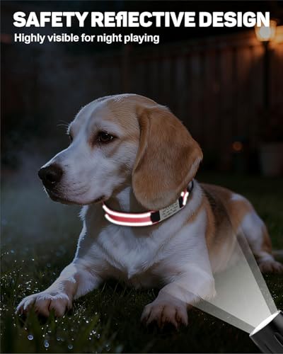 TagME Hundehalsband personalisiert, Reflektierendes gepolstertes Nylon Hundehalsband für kleine Hunde mit Namen und Telefonnummer