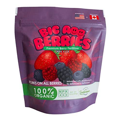 Big A Berries Fertilizer Nutrients – Plant Nutrients for Growth