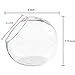 6 Inch Glass Ball Terrarium, Tabletop Air Plant Display Globe, Set of 2