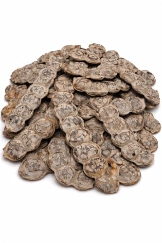 Nep Nep (Bagaruwa) Acacia Feminine Wash – 100% Organic Herbal Intimate Cleanser – Traditional African Botanical Powder – Gentle & Refreshing Feminine Care – 50g