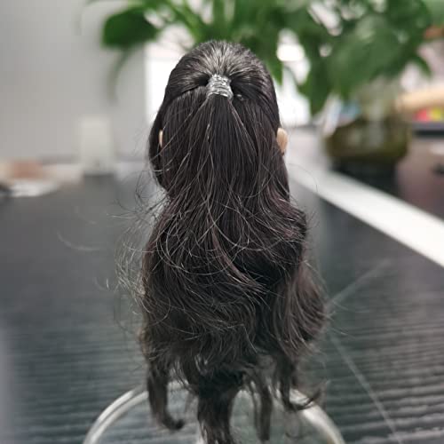 Image of 1 /6 Scale Female Head Sculpt,Asian Girl Planted Hair Head Carved for 12inch Female Action Figure Body Collectible