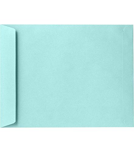 Enveloppe Brune 9 X 12 LUX 9 X 12 Open End Envelopes, 50/Box