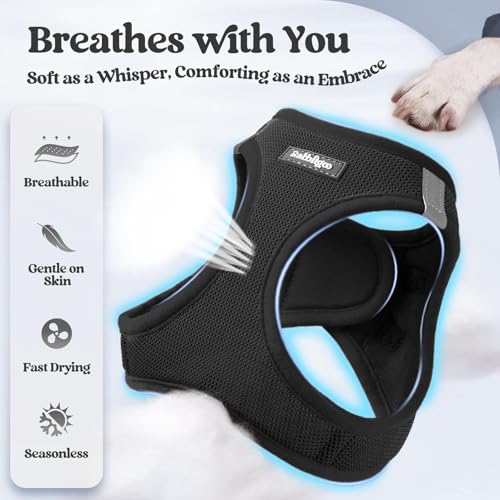rabbitgoo Step-In Harness & Leash Set (Black, M) — view 4