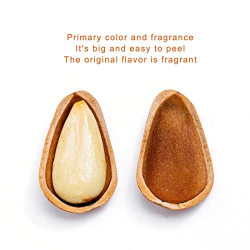 Pine Nuts dry Fruit with Shell 8.81oz ，Original pine nut 250 big granule, red pine nut, The shell has cracks for easy opening