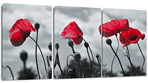 Artscope 3 Pcs Impression sur Toile - Fleurs Rouges Mur Art Toile Peinture Image Tableau...