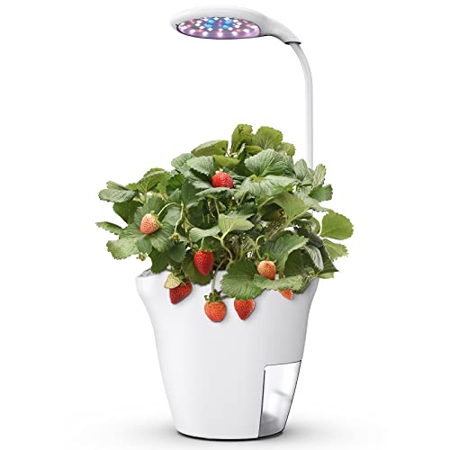 Système de culture hydroponique