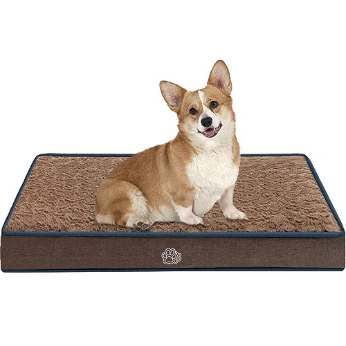 Dog Kennel Pad The 15 best products compared Wild Explained