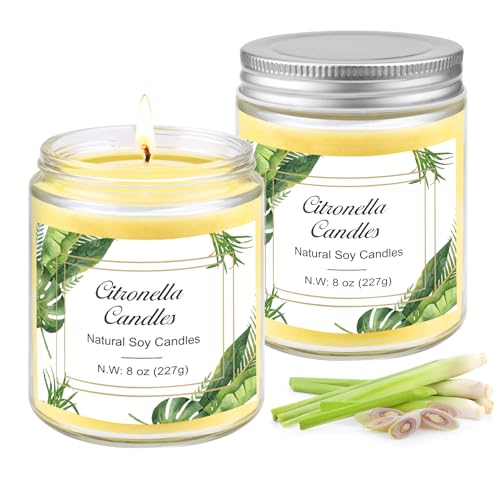 Citronella Candles Outdoor 2Pack Natural Soy Wax Scented Candles in Glass
