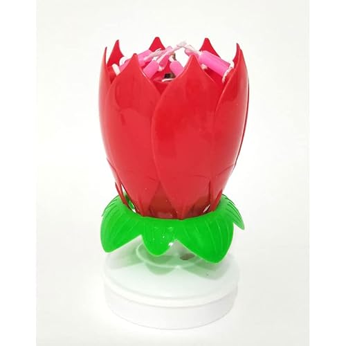 }WbNt[o[Xf[Lh }`J[~[WJP[LLh JtɐMȂقǂ̃o[Xf[Lh nbs[o[Xf[Lh Ԃ炩d낤ap[eB[p (Ԃ)