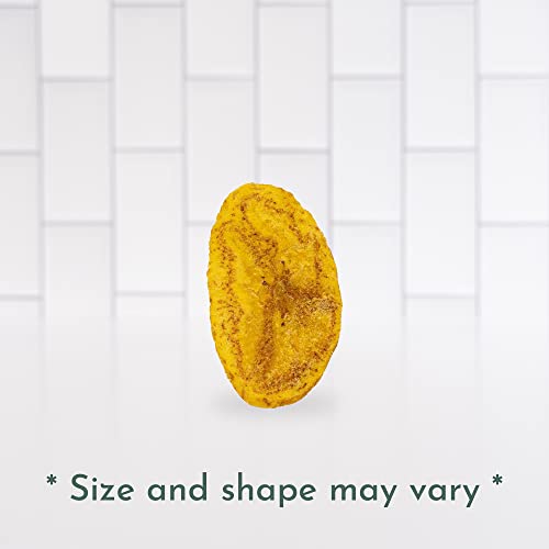 ARTISAN TROPIC Plantain Strips – Vegan, Paleo, Gluten Free Chips - Individual Bags Healthy Snacks for School, Gym, Kids – Whole 30 Approved Foods Baked Banana Chips – Sea Salt (2 Oz - 8 Pack)