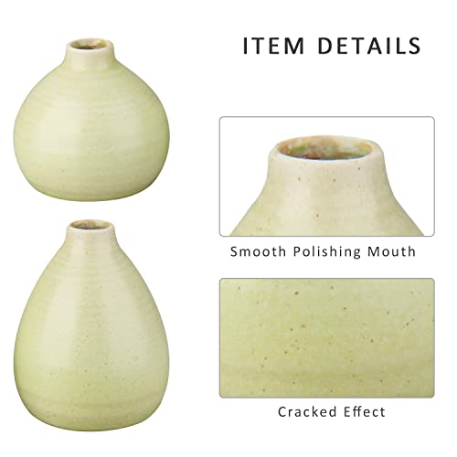 Decoratieve tulpenvaas, set van 2 vazen voor gedroogde bloemen, bloemenvazen, decoratieve vaas voor woonkamer slaapkamer kantoor, hoogte 16 cm/12,5 cm - Afbeelding 3