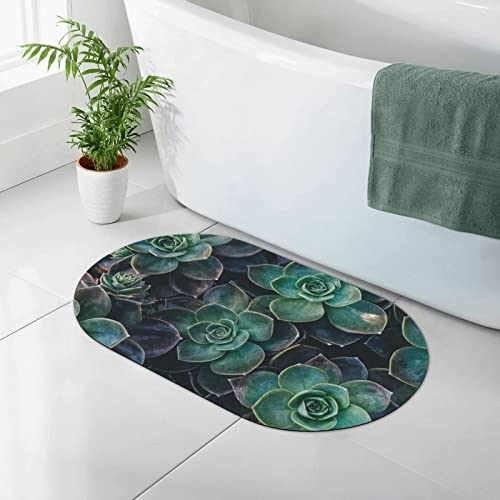 CARRDKDK Tappeto da bagno con piante grasse, diatomacee, antiscivolo, adatto sotto la porta, tappetino da bagno per doccia davanti alla vasca da bagno, doccia, lavandino (50 x 80 cm)