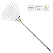 Rake