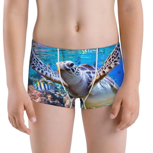Boys' Cotton Boxer Brief Soft Underwear-Sea Turtle Swims