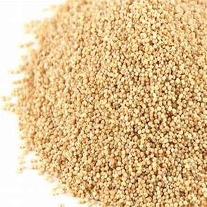 TEMPERADO Poppy Seed | KHUS KHUS (1800)