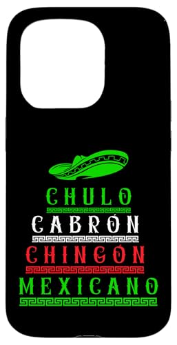 Mexico Flag Mexican Hispanic Siesta Pride Vintage X}zP[X iPhone 15 Pro p