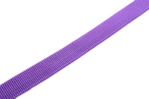Durable Nylon Dog Leash 4 Ft 5 Feet 6 Foot Long, Walking Training Dog Leashes For Medium Large Dogs, 1 Inch Wide (6Ft, Purple) #TOP4
