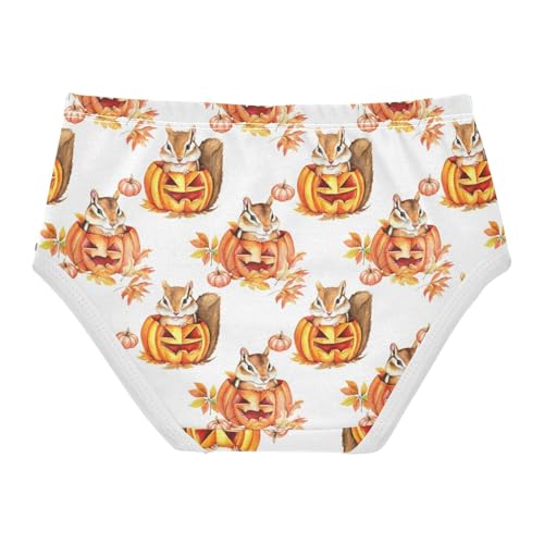 Joisal Toddler Underwear Floral 2t Cotton Girl Panties Cute Fun Briefs Girls Undies Cute Pumpkins Orange2