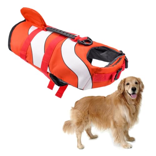 SEWACC ybg Ct WPbg h j  p q xXg 傫