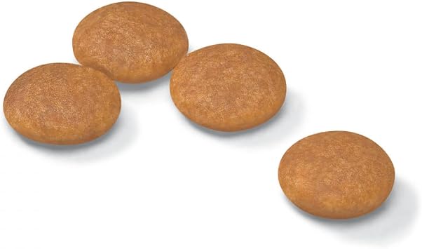 Royal Canin CCN Mini Dermacomfort Yetişkin Köpek Maması 3 kg