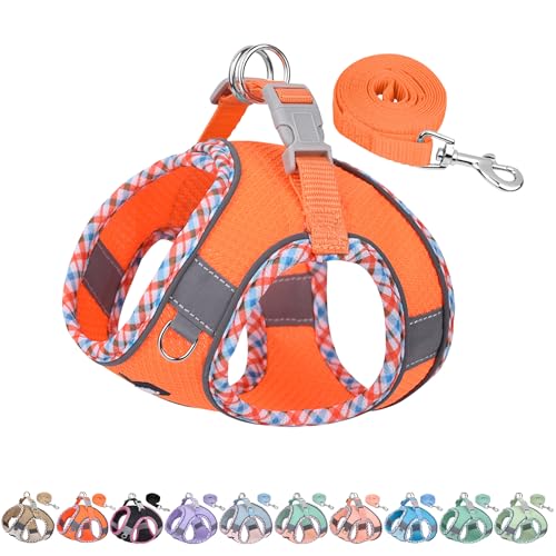 AIITLE Pettorina per cani anti-fuga, gilet anti-tiro con guinzaglio, strisce riflettenti, imbracature regolabili per animali domestici all'aperto per cani di taglia media, Arancia XXS