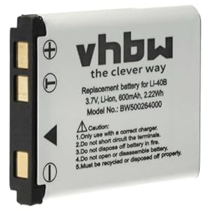 vhbw 1x Akku kompatibel mit Pentax Optio M30, M40, T30, V10, W30, V15, L30, L40 Kamera (500 mAh, 3,  V, Li-Ion) - Ersatz für D-Li108, D-Li63