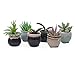 Produktbild BELLE VOUS Pflanzentöpfe (6-er Pack) 5,5 x 6,5cm - 6 Designs Mini Blumentopf Set Blumentopf Keramik mit Abflussloch für Sukkulenten & Kaktus ideal als Dekoration Zuhause, Büro, Innen, Draußen, Garten