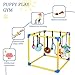 Liitrton Puppy Play Gym - Small Dogs Play Gym with 8 Hanging Toys, Indoor Puppy Jungle Gym with Interactive Dog Enrichment Toys, 19.5