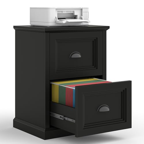 Halitaa Vertical File Cabinet, Filing Cabinet with 2 File Drawers, Farmhouse Small File Cabinet Fits Letter/A4 Size, Wooden Printer Stand, Under Desk Cabinets for Home Office, Black