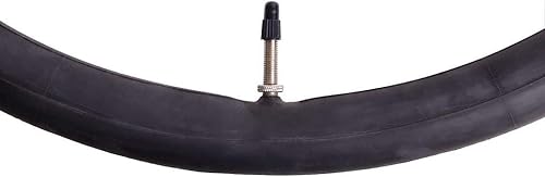 WTB Tubo Presta 700 x 3845C