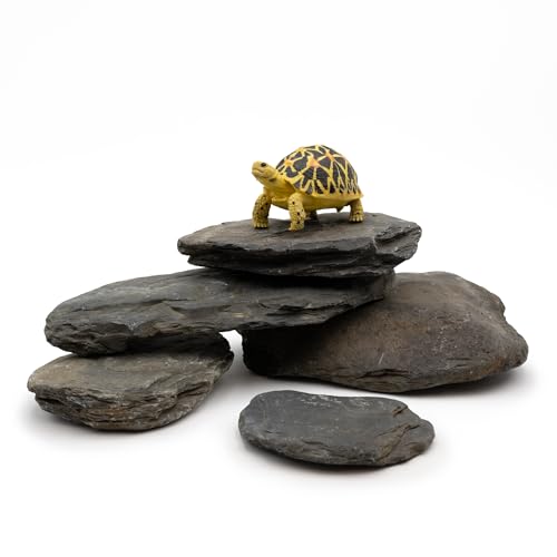 KINGRUI Aquarium Stone Natural Slate Stream Turtle Tank Rocks 3-7 inches Fish Rock for Aquarium Aquascaping Shrimp Tanks Amphibian Enclosures Paludarium-5lb