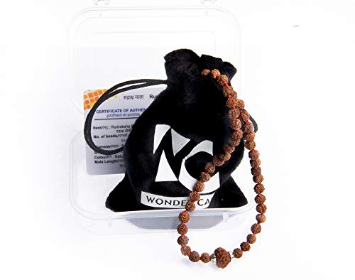 Wonder Care Original Nepali Rudraksha Bead and Rudraksha Mukhi Mala Natural Rudra Religious Rosary Beads Japa Mala Rudraksha for Men and Women - Image 3